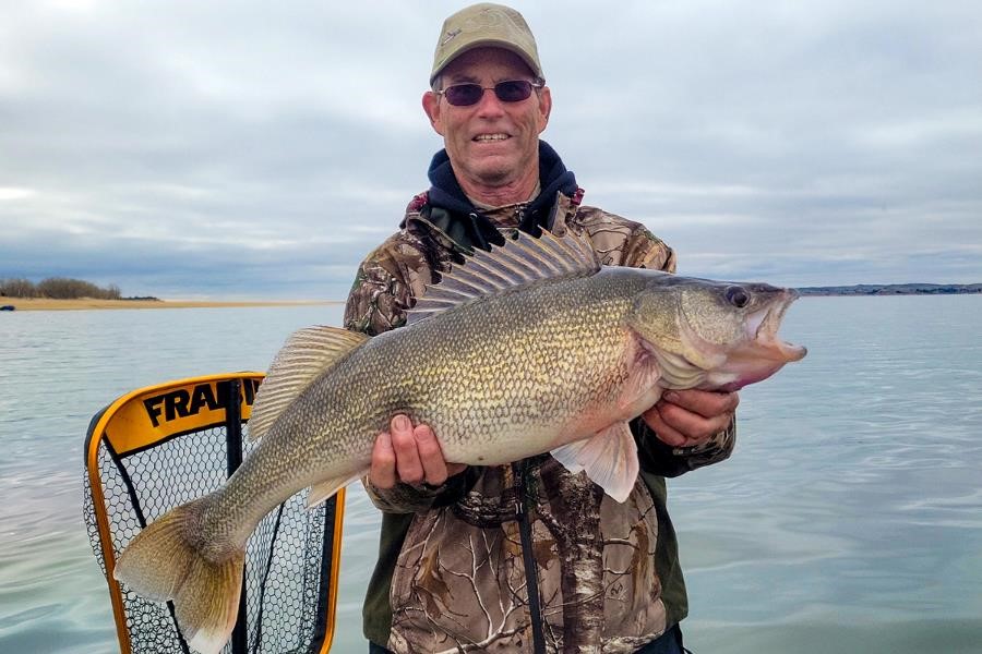 Angler holding big walleye.