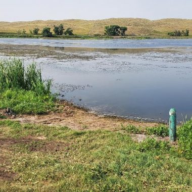 View of Nebraska sandhill lake from the shoreline.