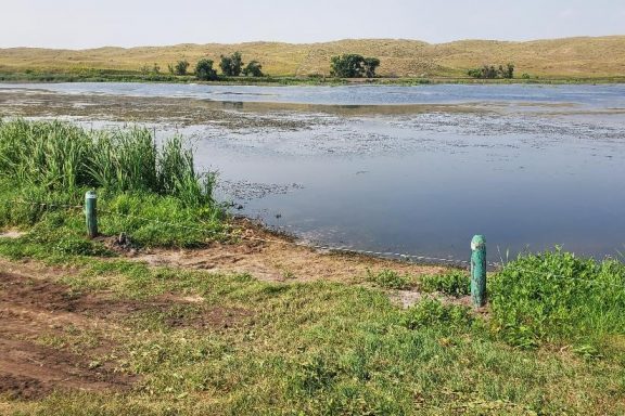 View of Nebraska sandhill lake from the shoreline.