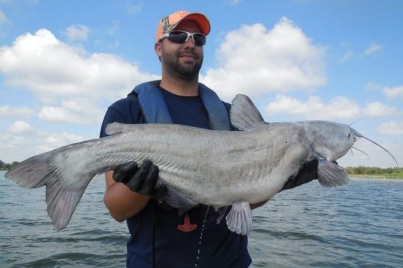 Biologist holding catfish.