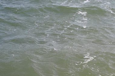 Waves