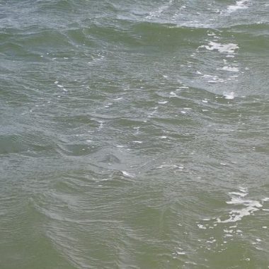 Waves