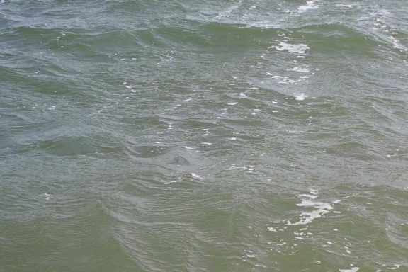 Waves