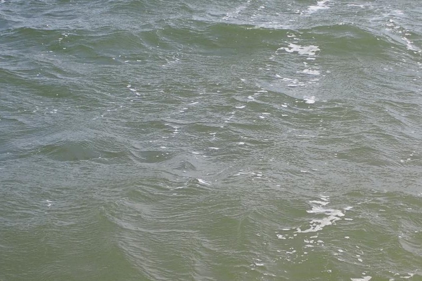 Waves