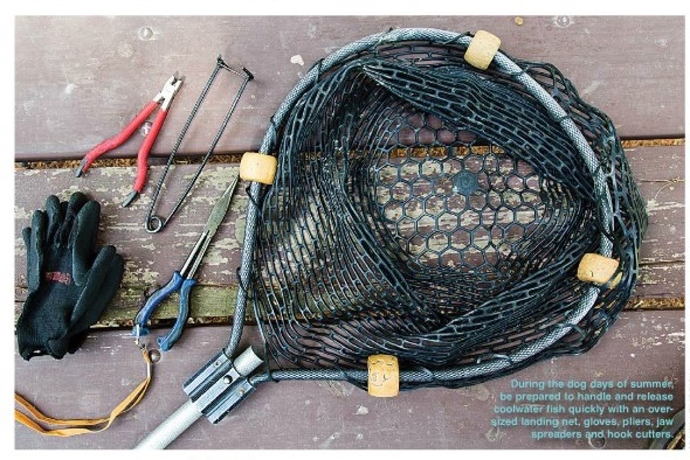 Fish handling and hook removal tools.
