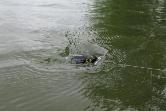 Jitterbug lure in water. Photo by Daryl Bauer, Nebraska Game & Parks Commission.