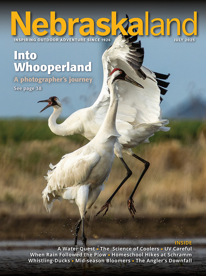 View July 2025 Issue