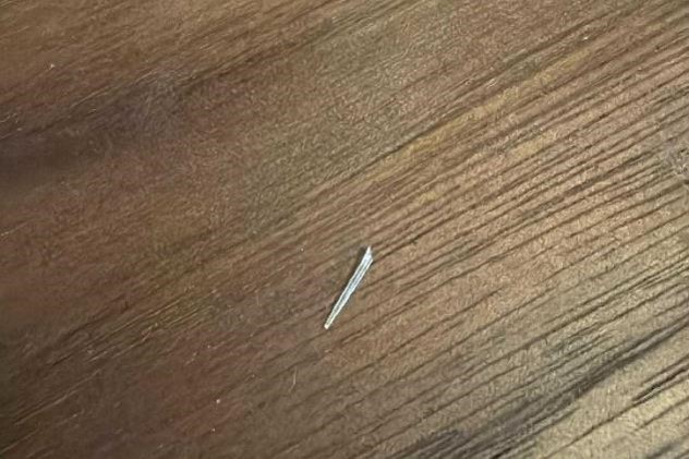 Broken piece of walleye spine laying on table.  Photo by Daniel Bauer.