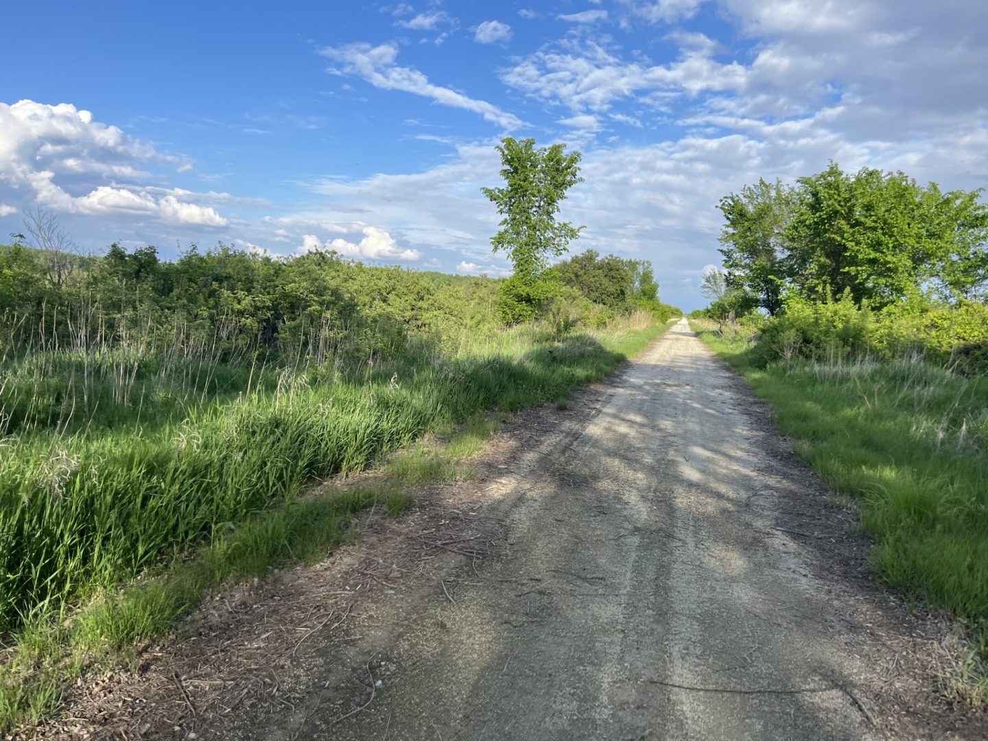 Cowboy Trail east of Clearwater.