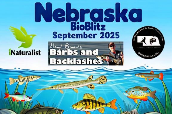 Poster for Nebraska Fish BioBlitz, September 2025. Photo by John Vrtiska.