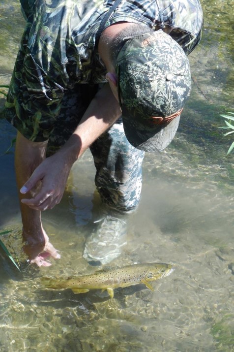 Angler releasing a brown trout. Photo by Daryl Bauer, Nebraska Game & Parks Commission.