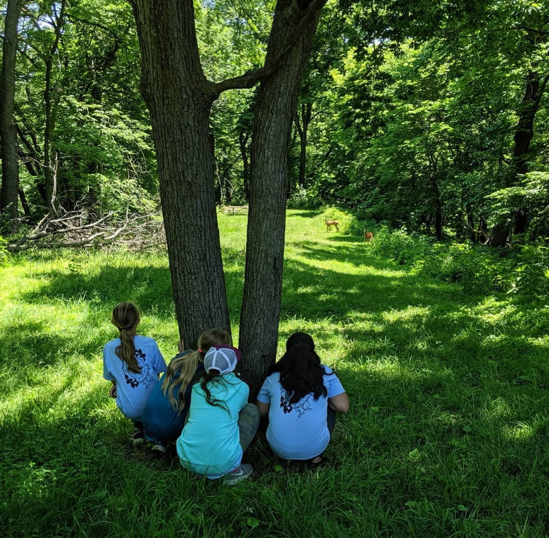 Campers watching deer.