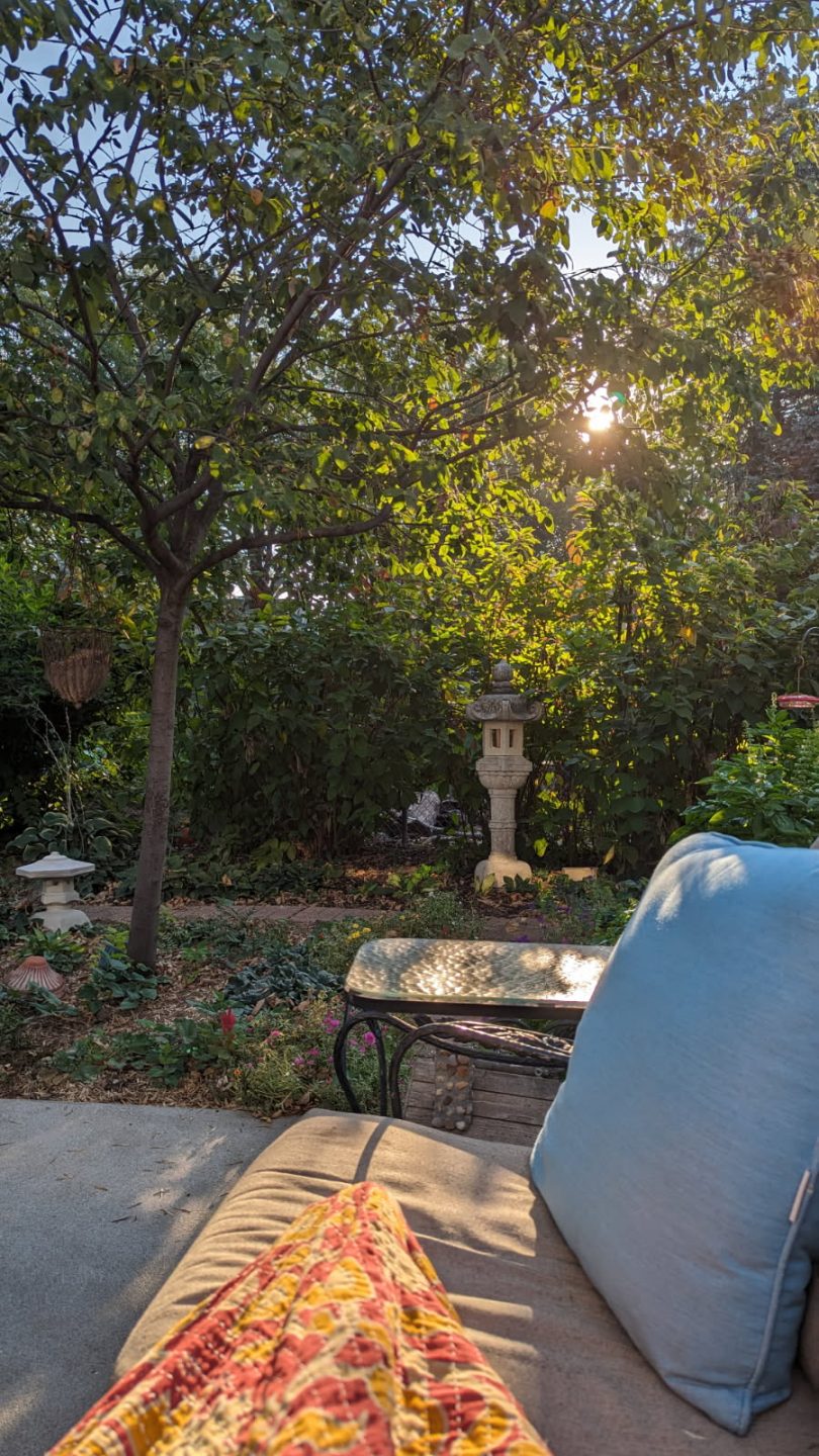 Sit spot in a garden.