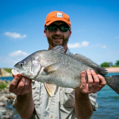 A man holds up a large freshwater drum caught while fishing.