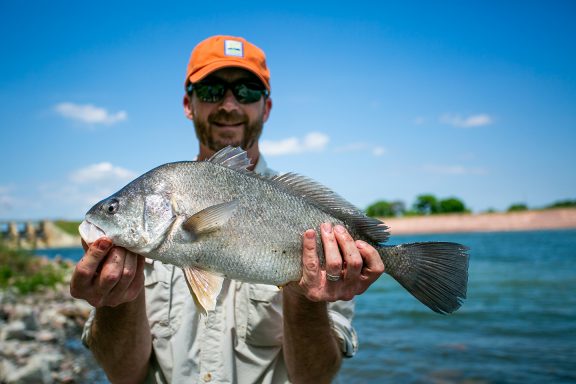A man holds up a large freshwater drum caught while fishing.