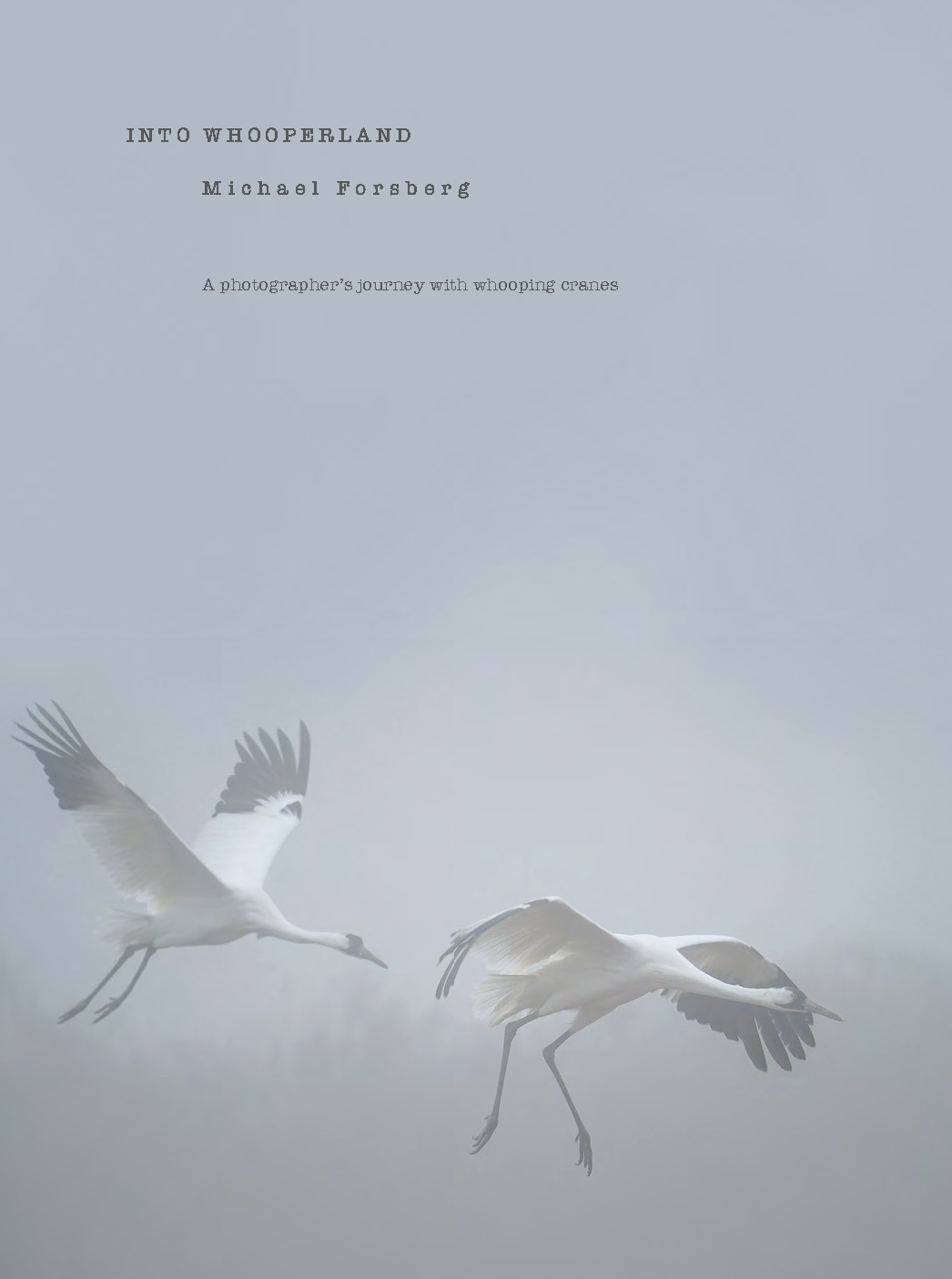Cover of Michael Forsberg's book "Into Whooperland."