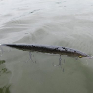 Fishing lure floating in water. Photo by Daryl Bauer, Nebraska Game & Parks Commission.