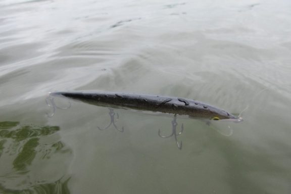 Fishing lure floating in water. Photo by Daryl Bauer, Nebraska Game & Parks Commission.