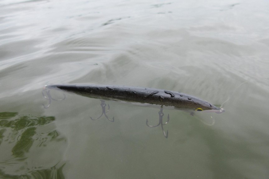 Fishing lure floating in water. Photo by Daryl Bauer, Nebraska Game & Parks Commission.