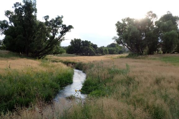 Later afternoon looking up a western Nebraska river. Photo by Daryl Bauer, Nebraska Game & Parks Commission.