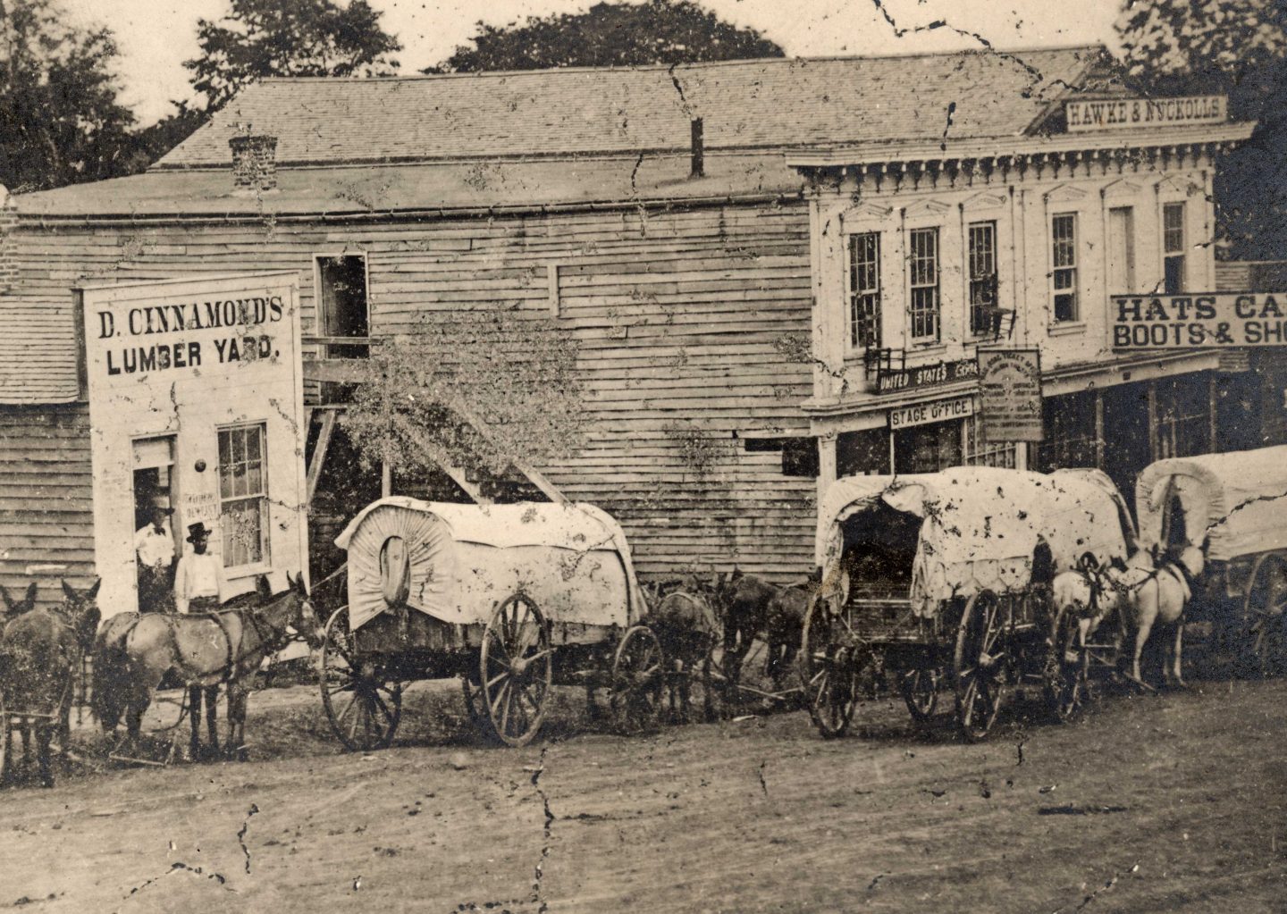 Mule-drawn freight wagons in Nebraska city.