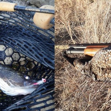 Mash up of saugeye in landing net and sharptail grouse on shotguy. Photo by Daryl Bauer, Nebraska Game & Parks Commission.