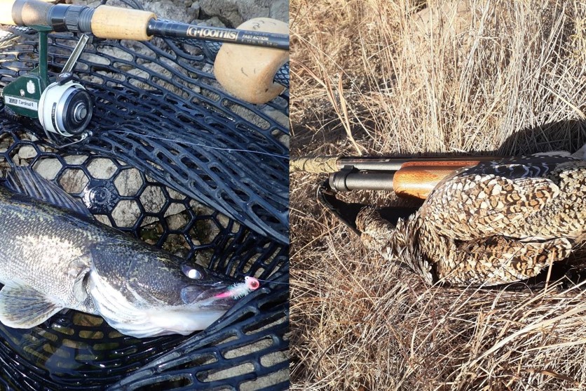 Mash up of saugeye in landing net and sharptail grouse on shotguy.  Photo by Daryl Bauer, Nebraska Game & Parks Commission.