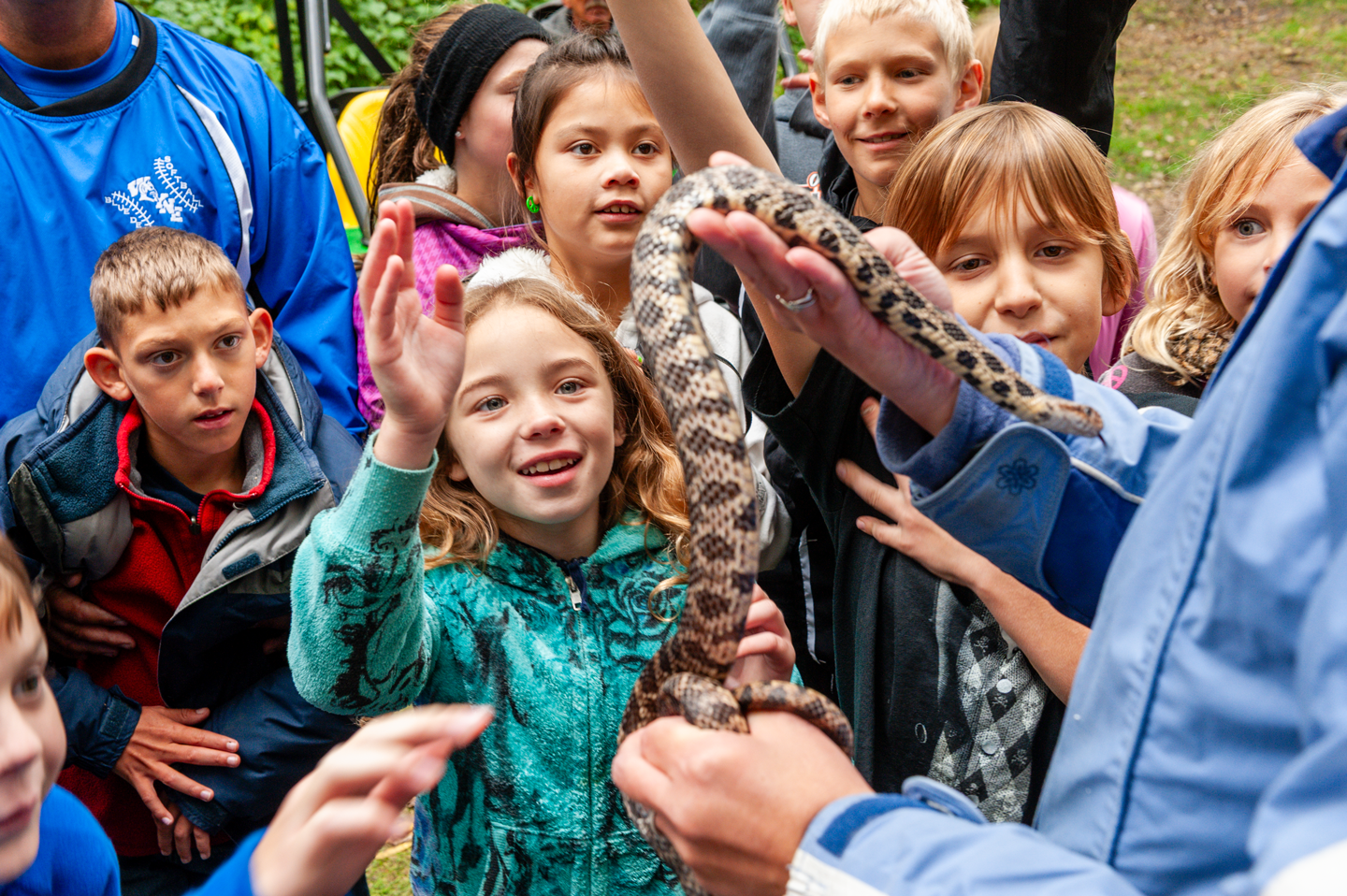 Children get close and personal with Nebraska’s reptiles, including this fox snake.