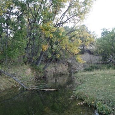 Autumn stream. Photo by Daryl Bauer, Nebraska Game & Parks Commission.