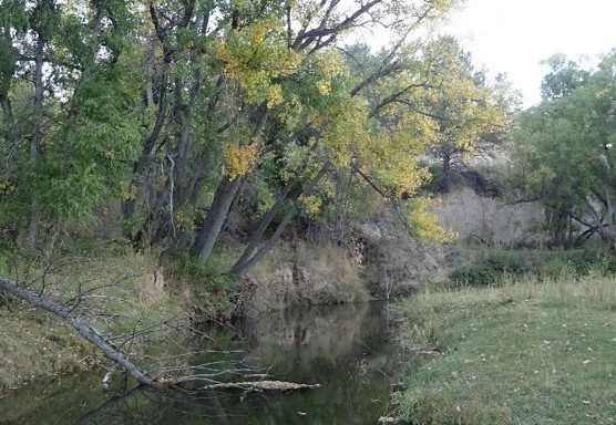 Autumn stream. Photo by Daryl Bauer, Nebraska Game & Parks Commission.