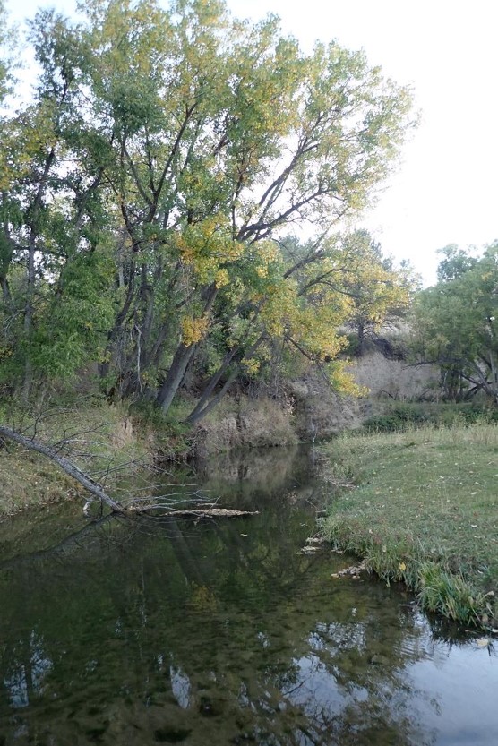 Autumn stream.  Photo by Daryl Bauer, Nebraska Game & Parks Commission.