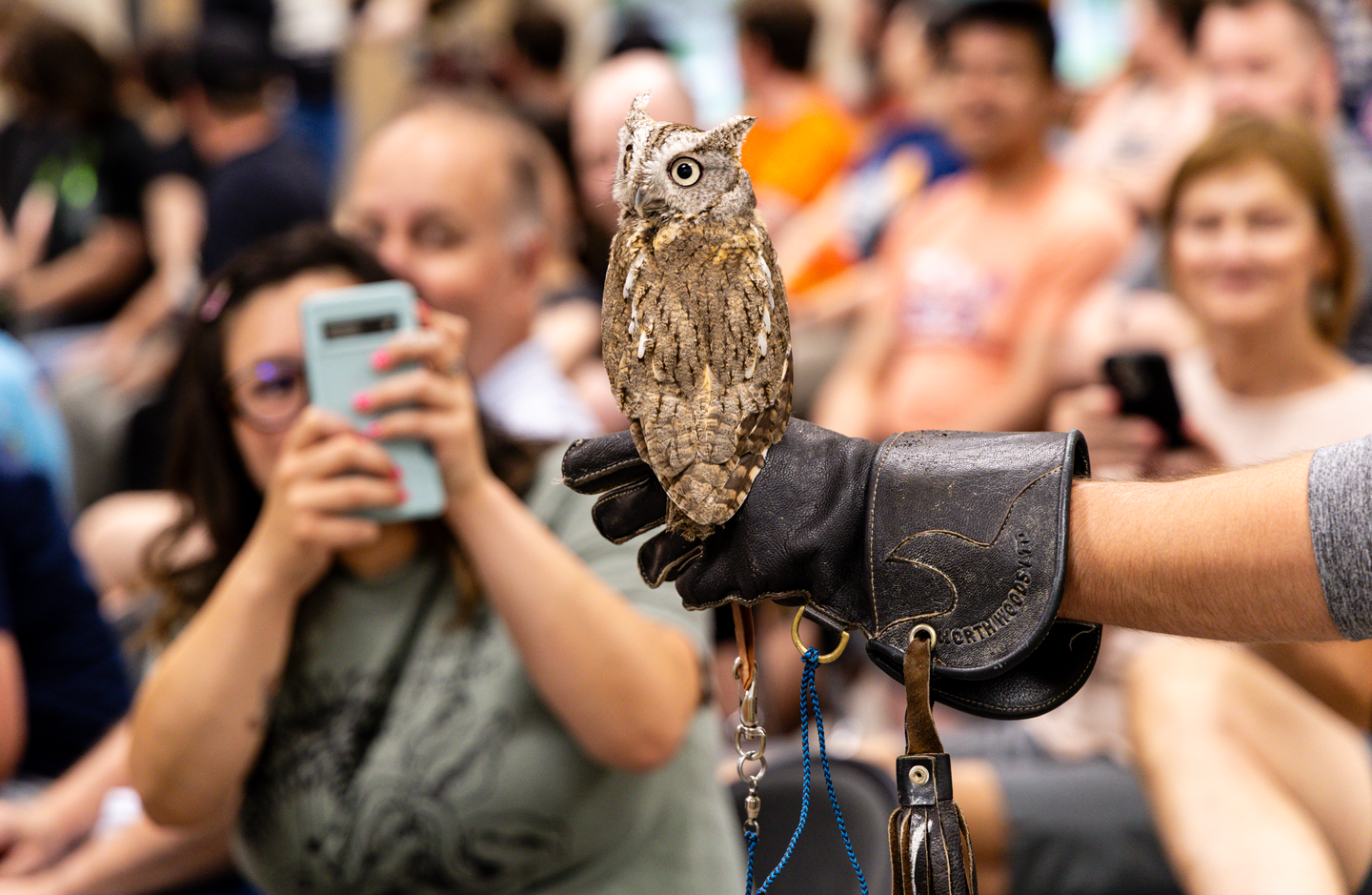 Spike the owl's roommate, George.