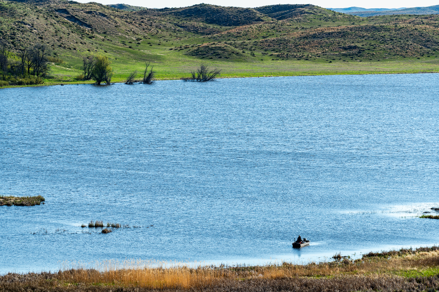An angler in a boat at Cottonwood-Steverson Wildlife Management Area.