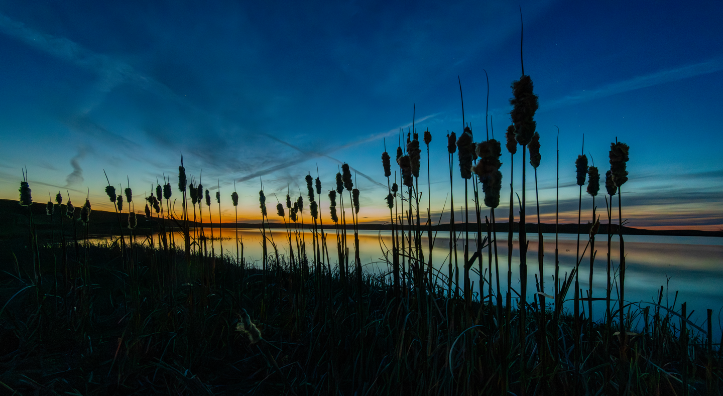 The day’s last moments of light reflect from the water’s surface and silhouette the cattails along the shoreline at Cottonwood-Steverson Wildlife Management Area in the Sandhills.