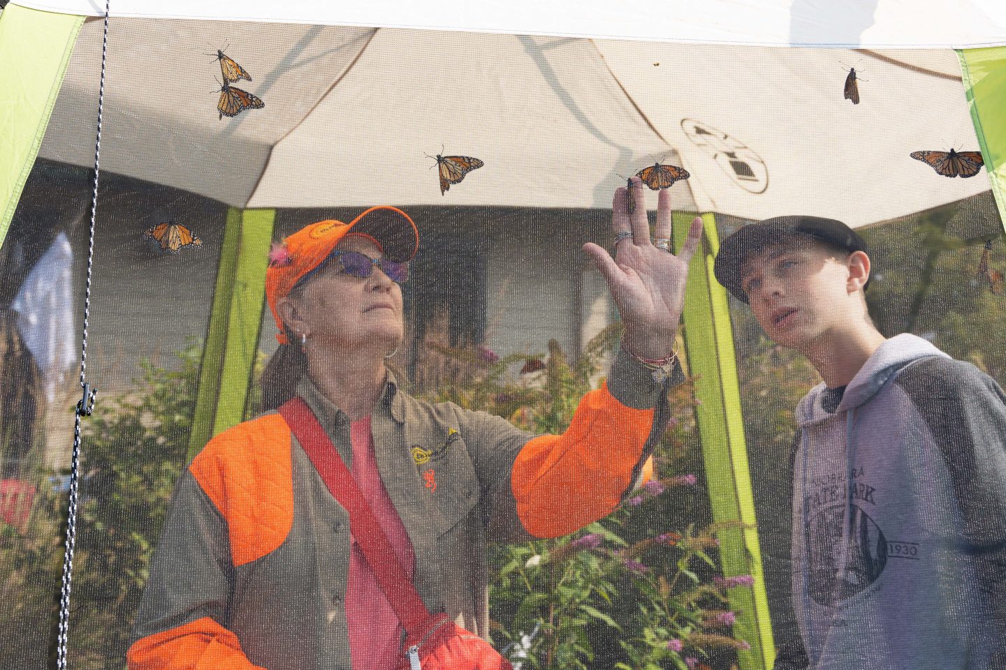 Volunteer Jase Gerdes helping board member Diana Kincaid pick a monarch butterfly for tagging and release.