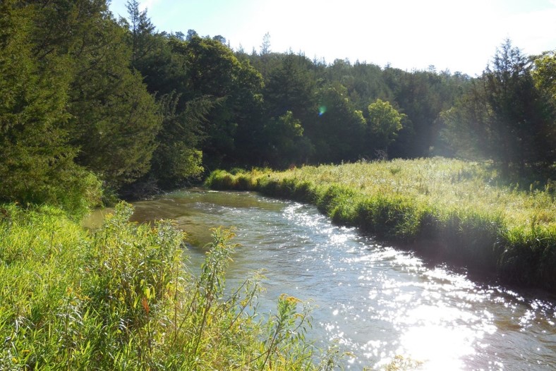 Scenic Nebraska trout stream.  Photo by Daryl Bauer, Nebraska Game & Parks Commission.