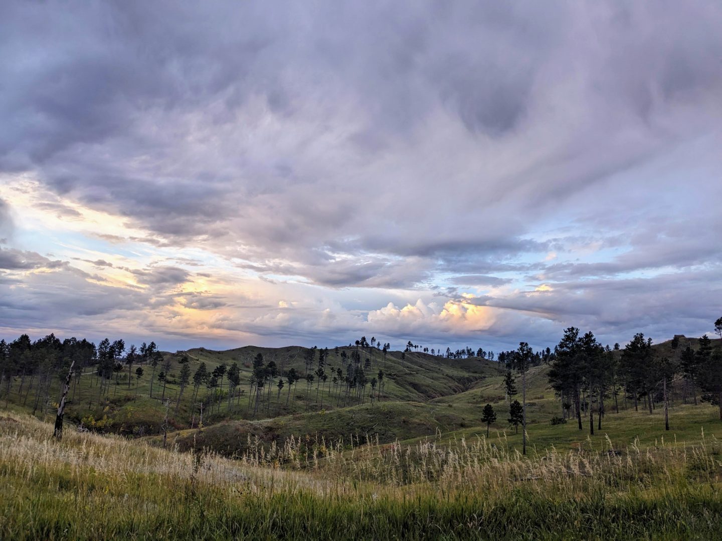 View at Chadron State Park.