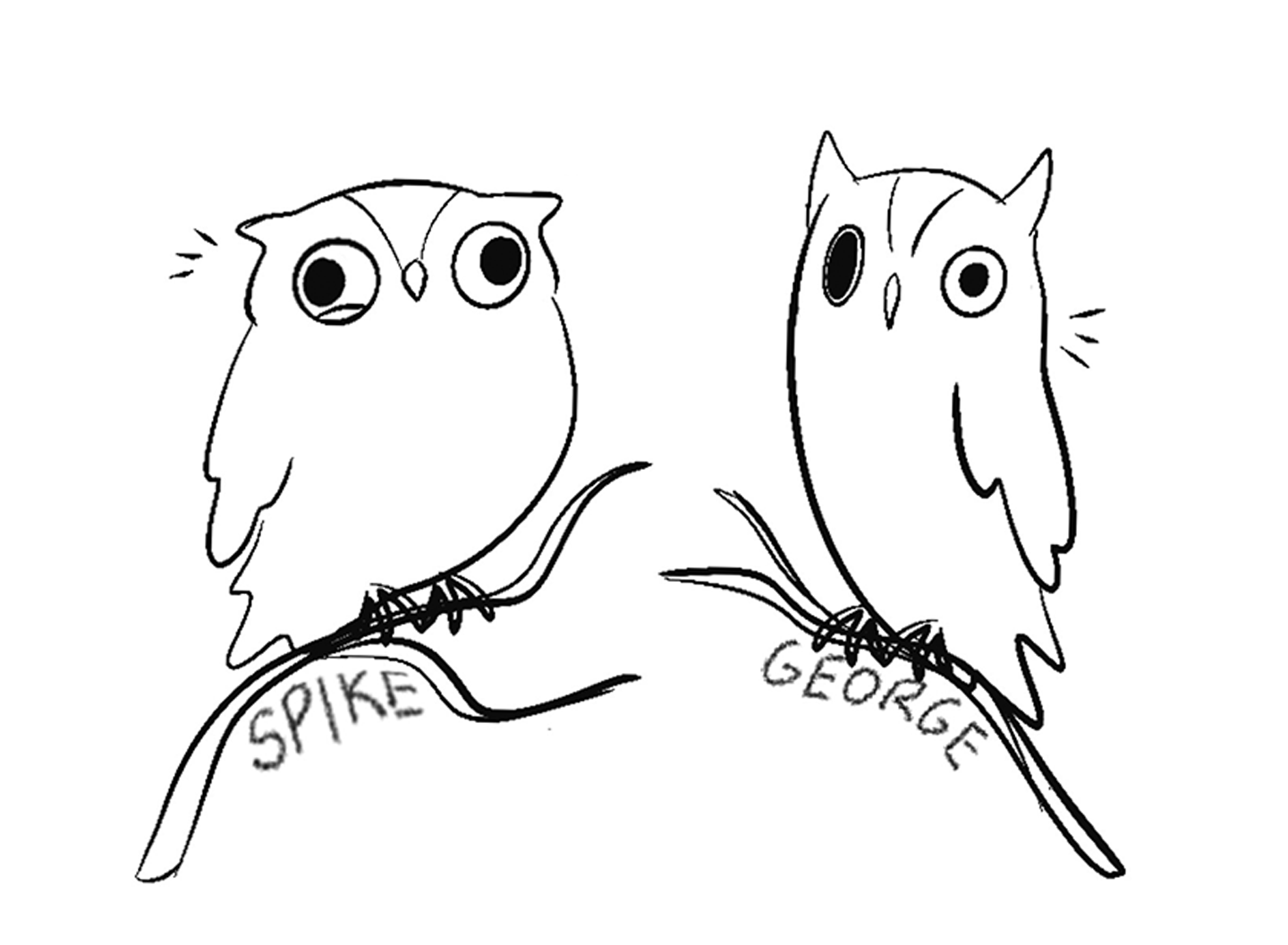 Illustration of Spike the owl by Rachel Whitner.