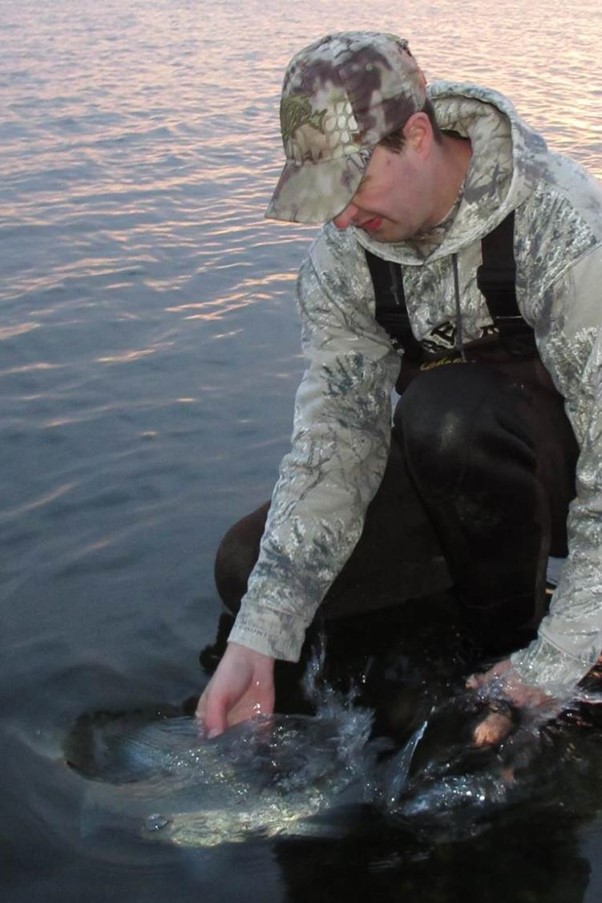Angler releasing a hybrid striped bass.  Photo by Daryl Bauer, Nebraska Game & Parks Commission.