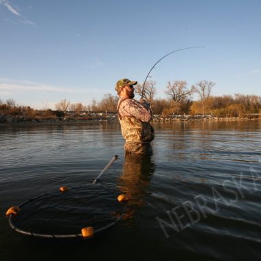 Wading angler.