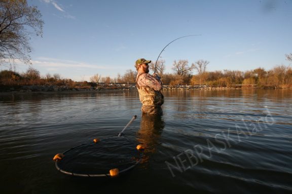 Wading angler.