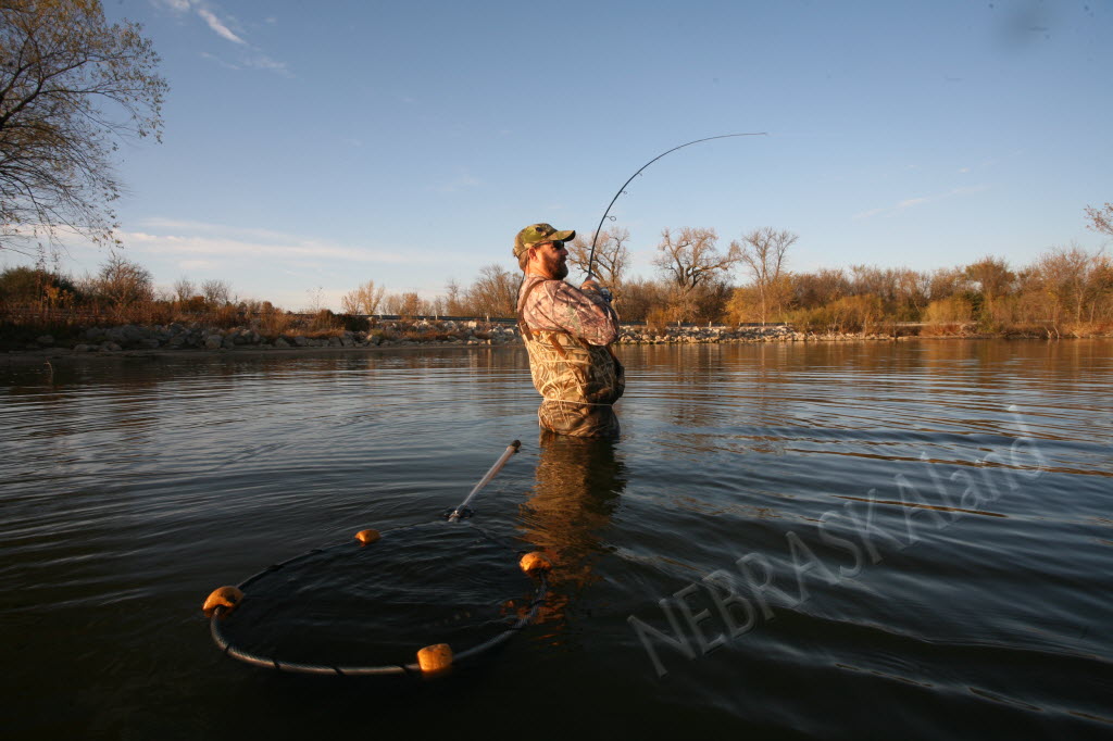 Wading angler.  Photo by Jeff Kurrus, Nebraskaland Magazine.