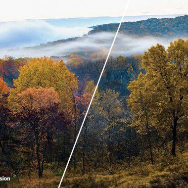 Trees at Indian Cave State Park are shown on a split screen with the left side in full color and the right side displaying their appearance to people with red-green color blindness.