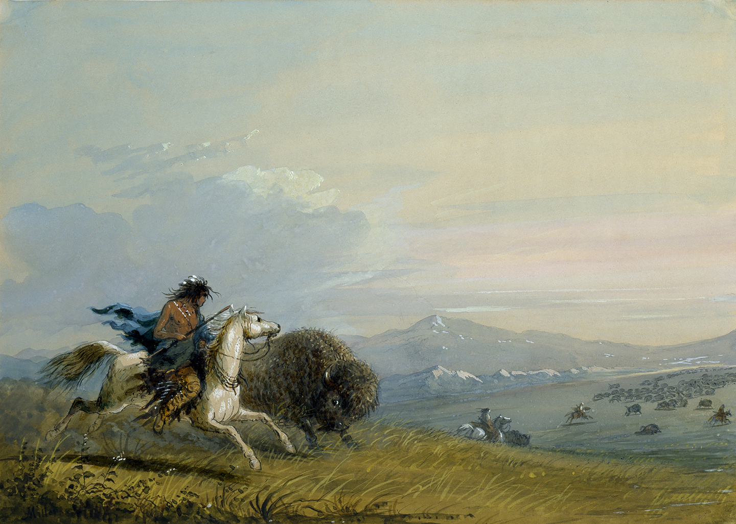 Miller, Alfred Jacobs. "Pawnee Running Buffalo." 1858-1860. Watercolor.
8 1/4 x 11 11/16 in. Commissioned by William T. Walters.