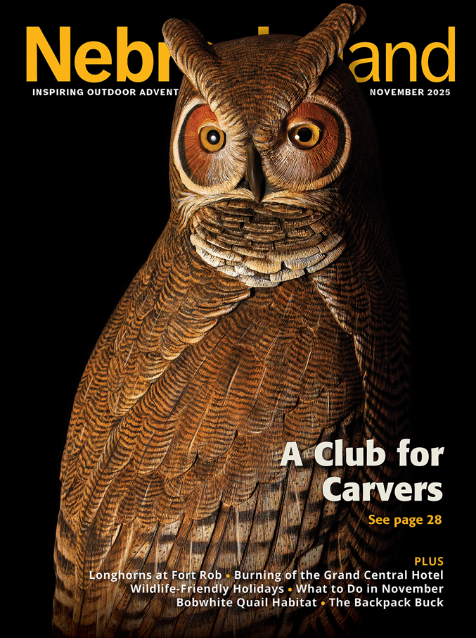 View November 2025 Issue