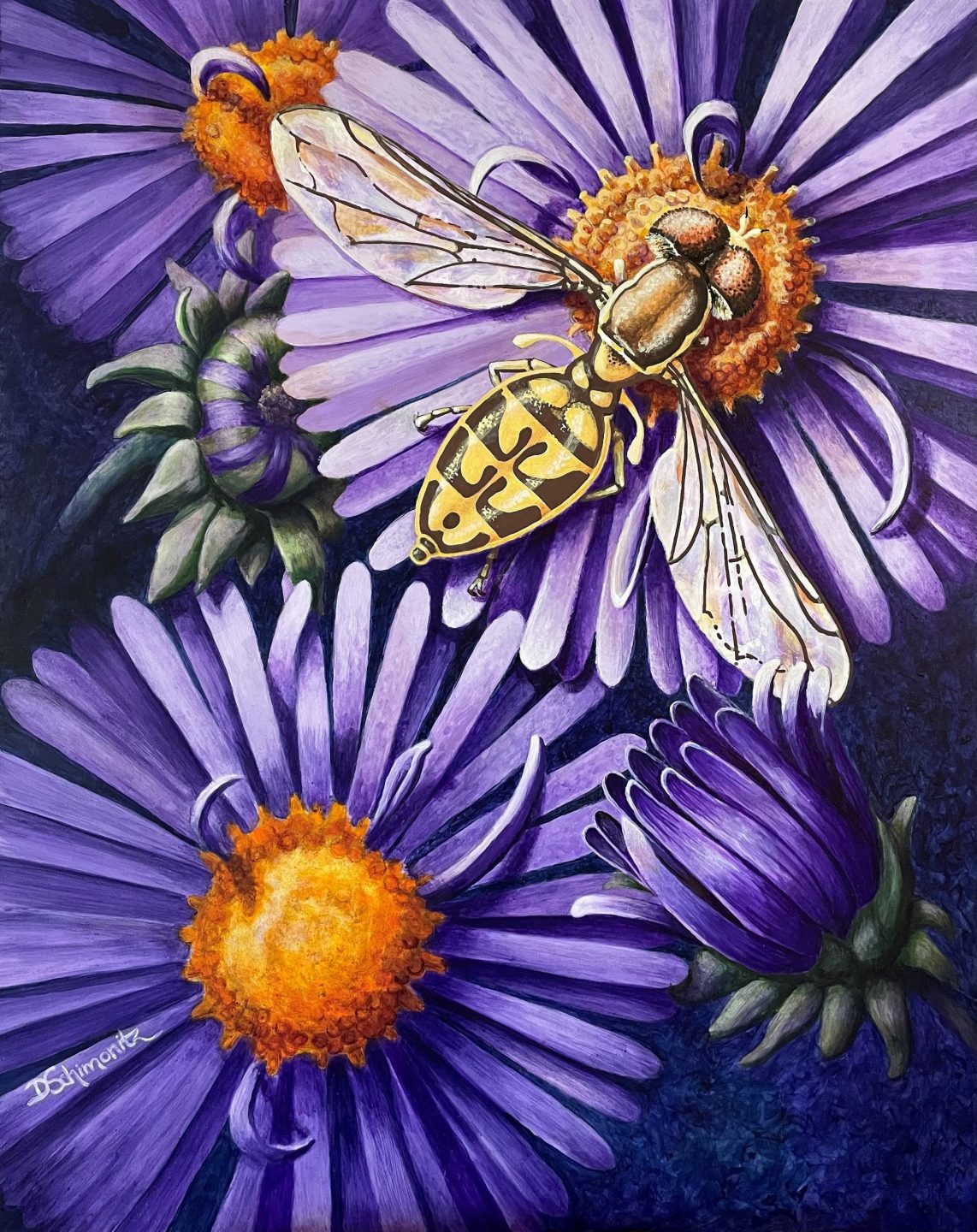 Acrylic painting of a calligrapher fly on purple aster flowers.