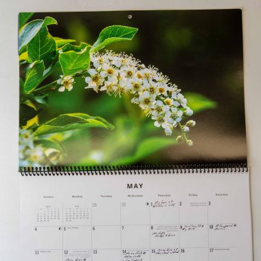 Nebraskaland 2026 Calendar