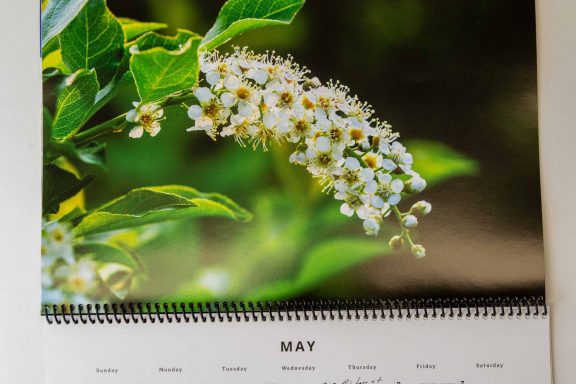 Nebraskaland 2026 Calendar