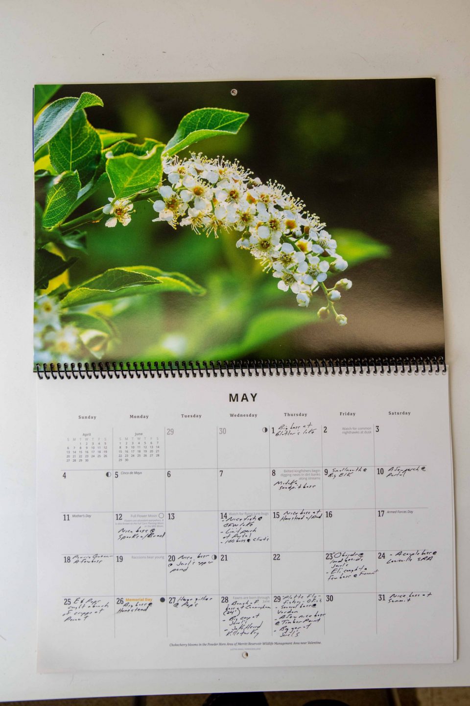 Nebraskaland 2026 Calendar