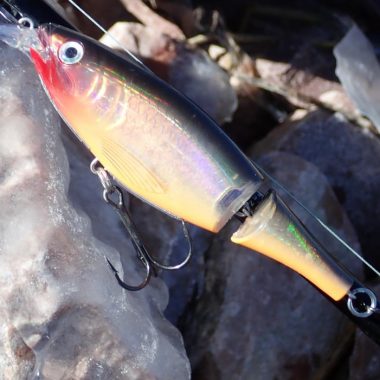 X-Rap fishing lure resting on rock. Photo by Daryl Bauer, Nebraska Game & Parks Commission.